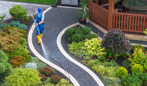 Best Best Pressure Washing Companies  in Covedale, OH